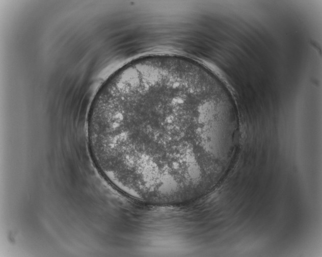 X0000102771335200809080955