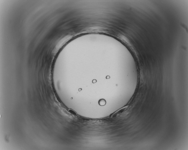 X0000102771336200809080955