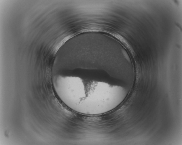 X0000102771337200809080955