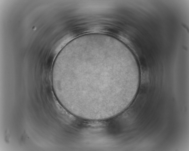 X0000102771338200809080955