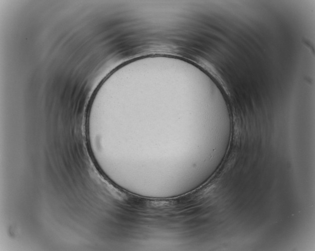 X0000102771339200809080955