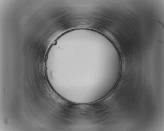 X0000102771340200809080955