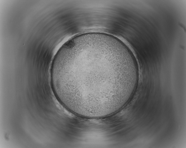 X0000102771341200809080955