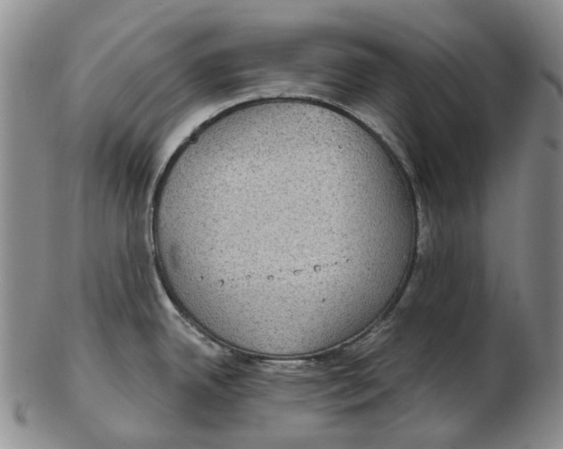 X0000102771342200809080955