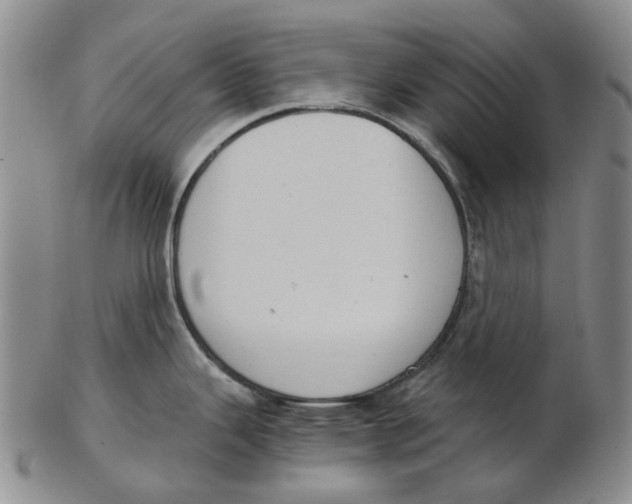 X0000102771343200809080955