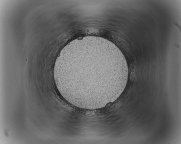 X0000102771345200809080955