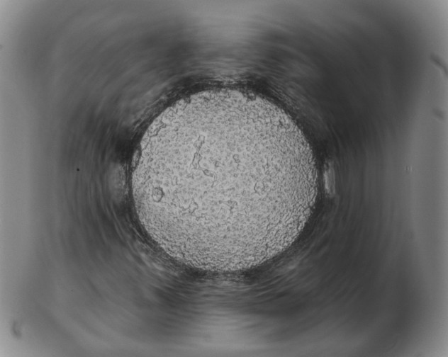 X0000102771347200809080955