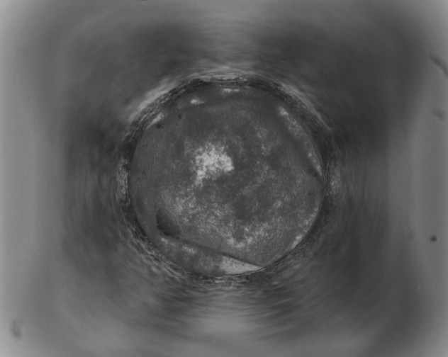 X0000102771350200809080955