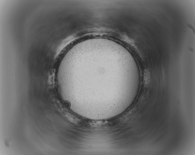 X0000102771352200809080955