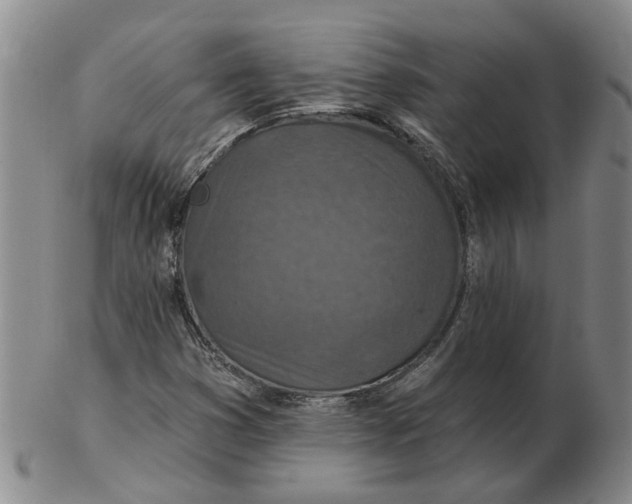 X0000102771353200809080955