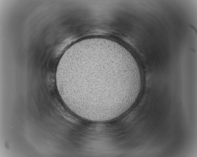 X0000102771355200809080955