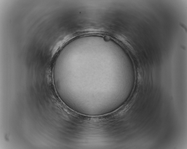 X0000102771357200809080955