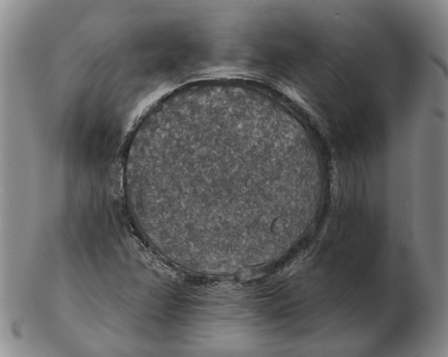 X0000102771358200809080955