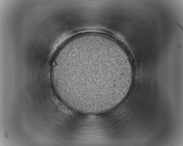 X0000102771360200809080955