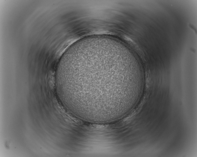 X0000102771361200809080955