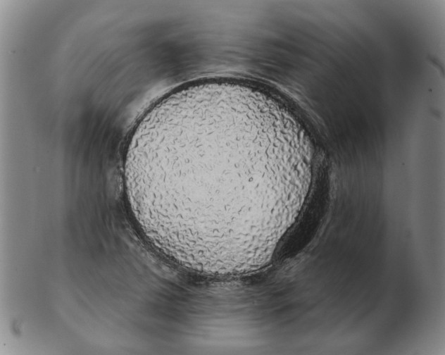 X0000102771363200809080955