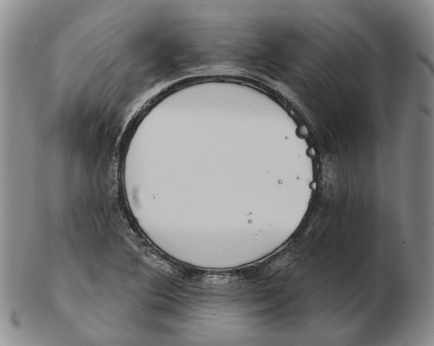 X0000102771364200809080954