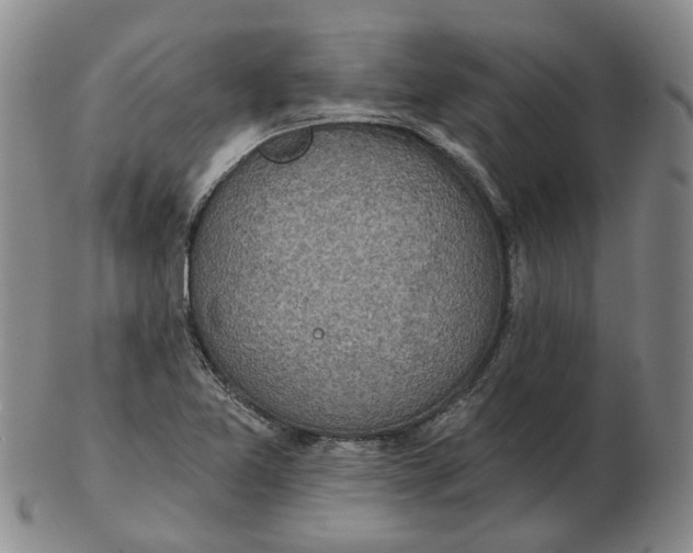 X0000102771365200809080954