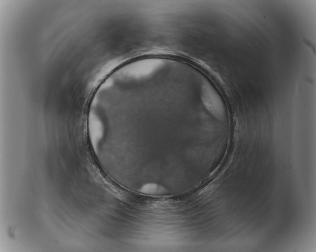 X0000102771367200809080954