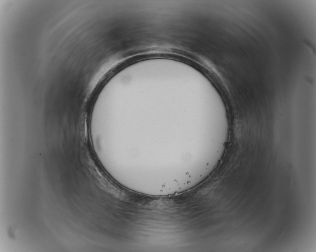 X0000102771368200809080954