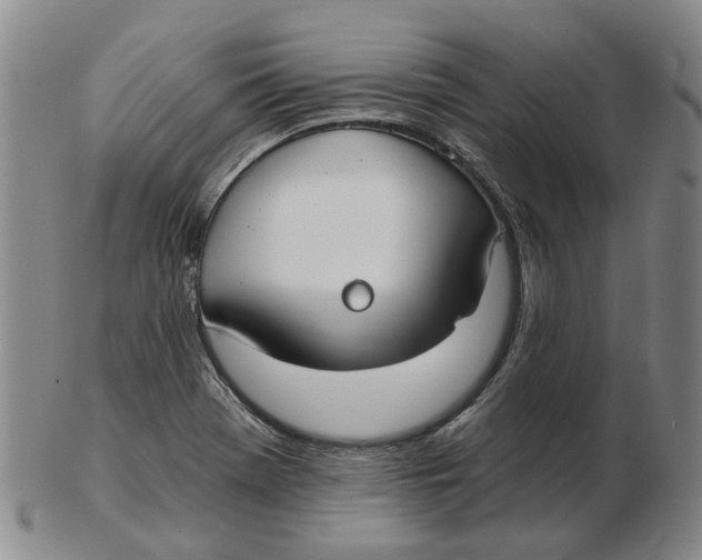 X0000102771369200809080954