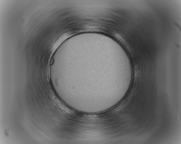 X0000102771370200809080954