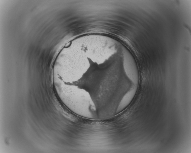 X0000102771371200809080954