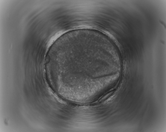 X0000102771373200809080954