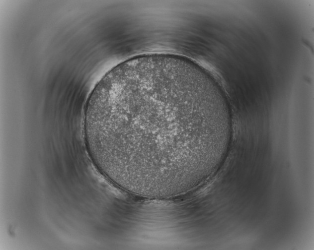 X0000102771374200809080954