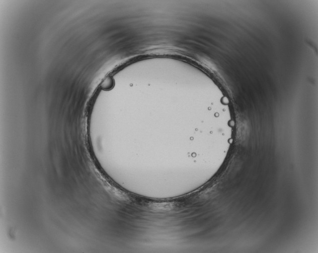 X0000102771376200809080954