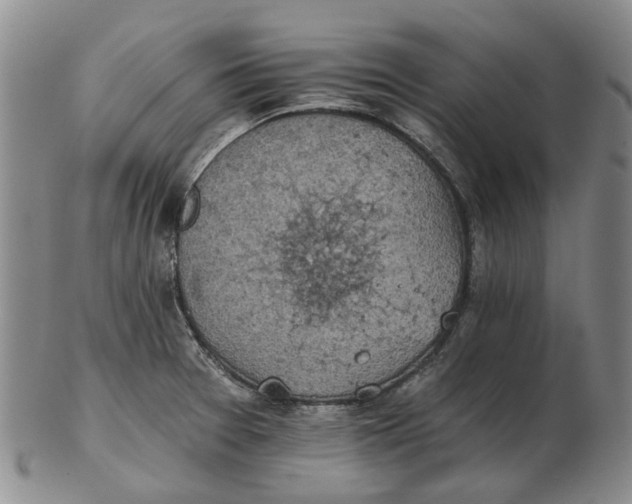 X0000102771377200809080954