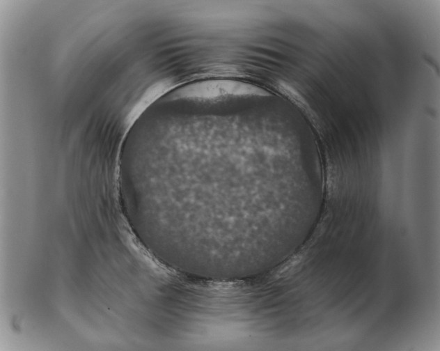 X0000102771378200809080954