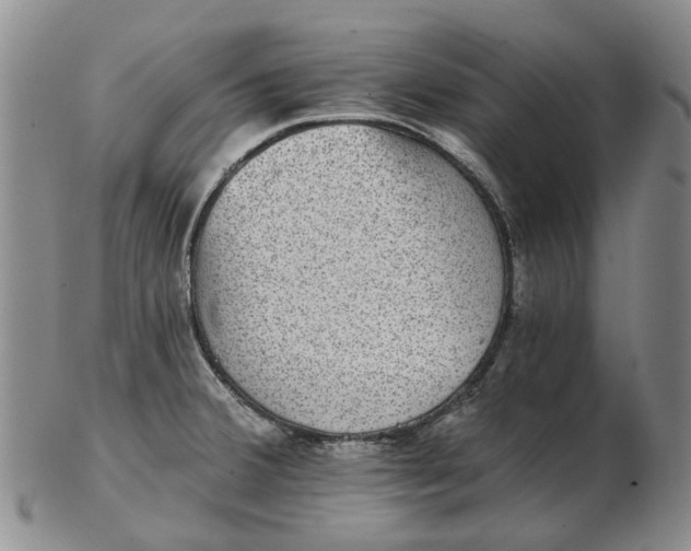 X0000102771380200809080954