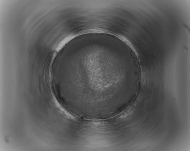 X0000102771381200809080954