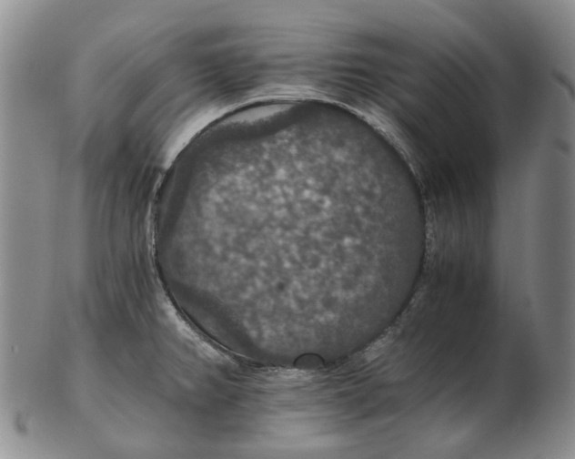 X0000102771382200809080954