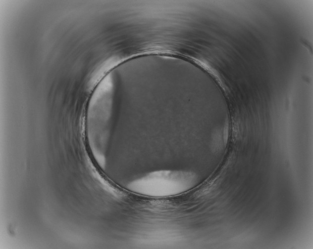 X0000102771383200809080954