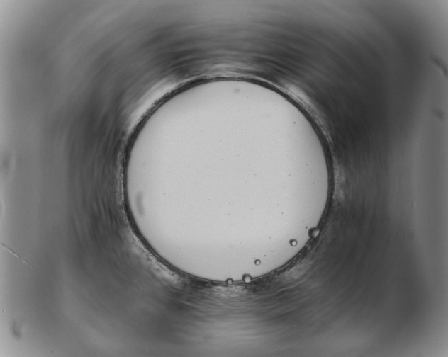 X0000102771384200809080954