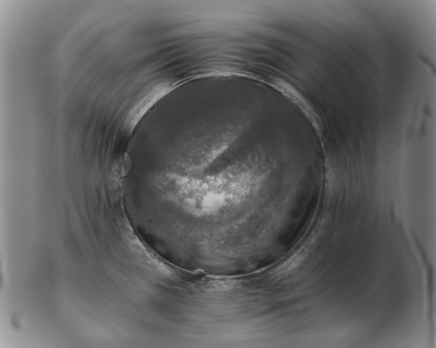 X0000102771385200809080954