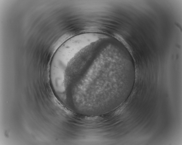 X0000102771386200809080954