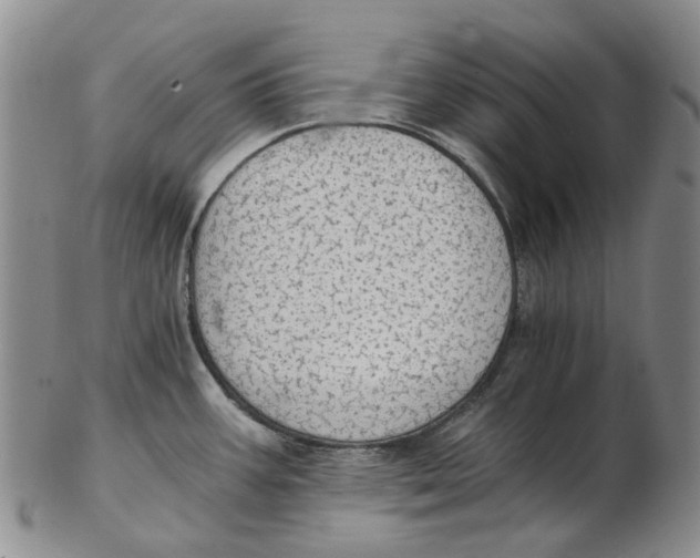 X0000102771387200809080954