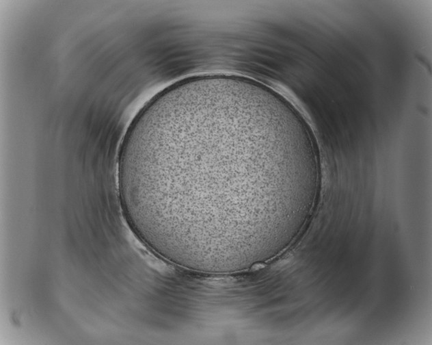 X0000102771388200809080954