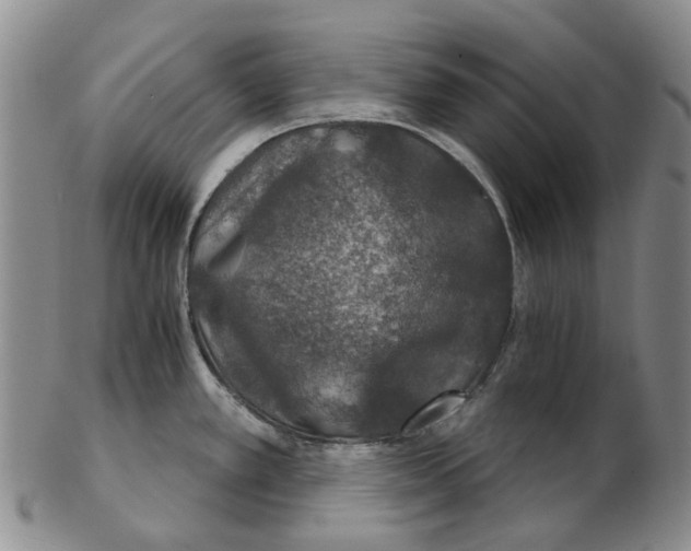 X0000102771389200809080954