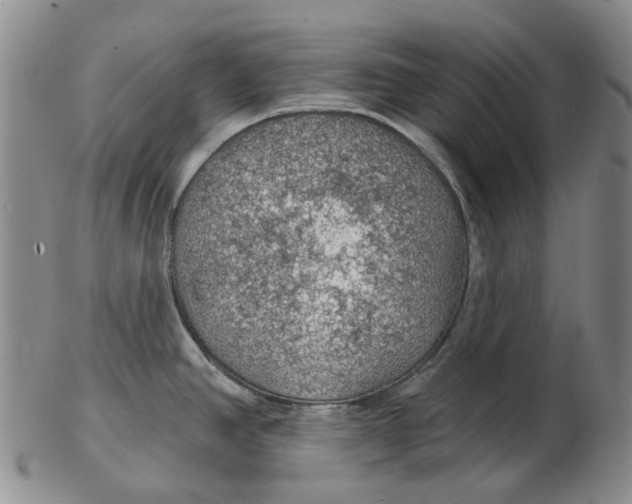 X0000102771390200809080954