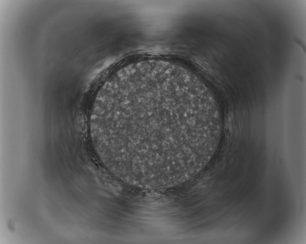 X0000102771398200809080954