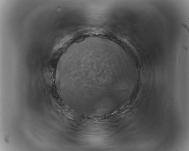 X0000102771399200809080954