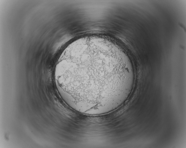 X0000102771402200809080954