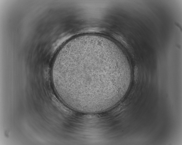 X0000102771404200809080954