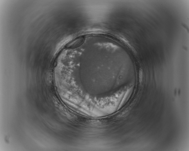 X0000102771405200809080954