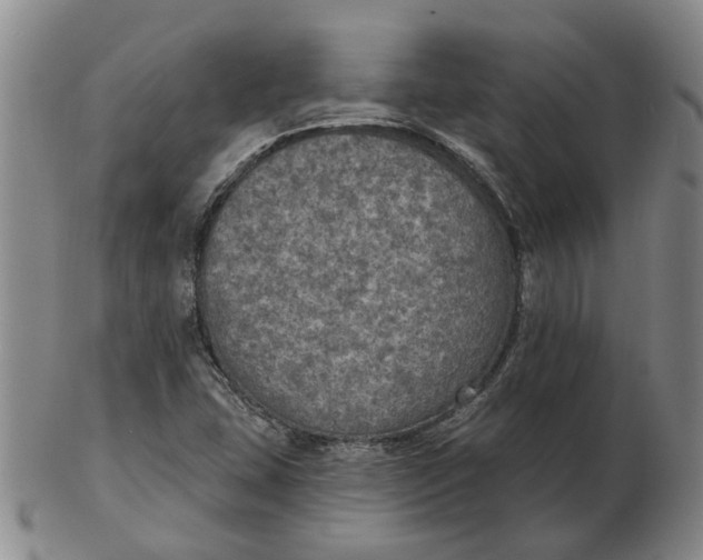 X0000102771407200809080954