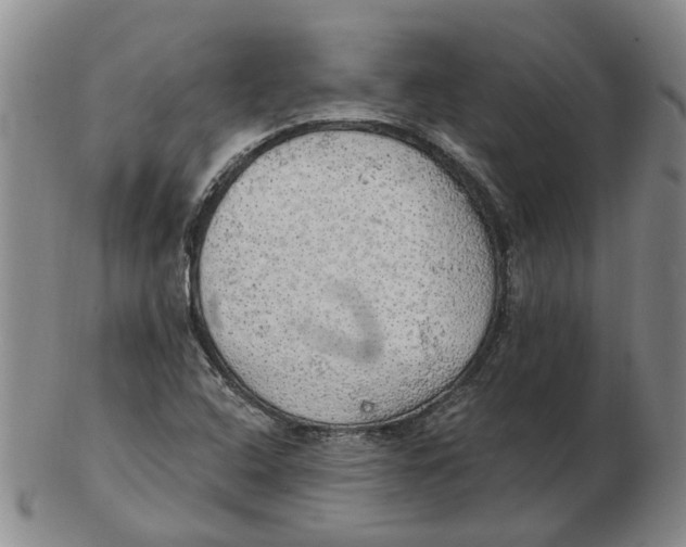 X0000102771408200809080954